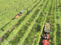 DSCN2784 (1024x768).jpg